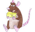 Brown Rat ##STADE## - coat 1340000008